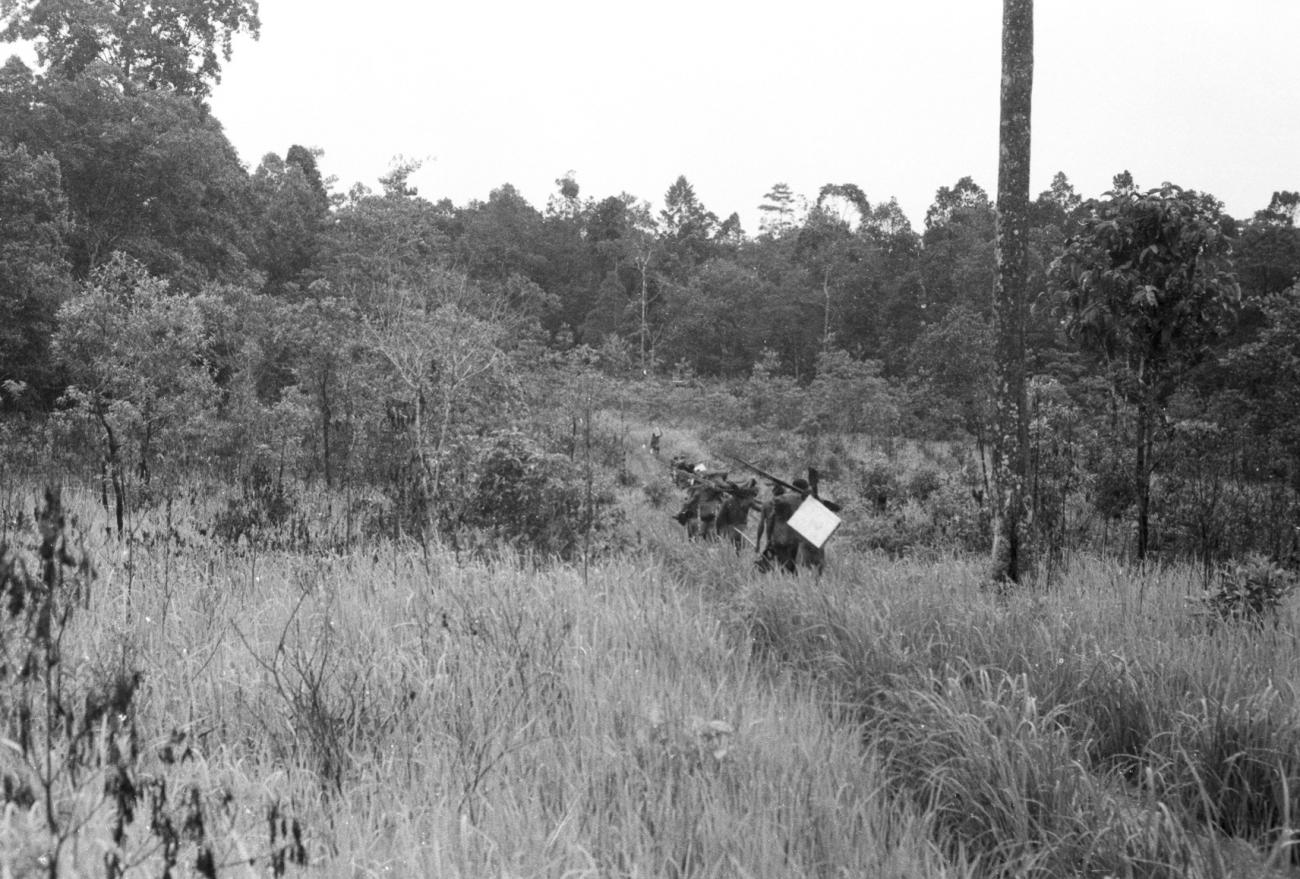 BD/133/1141 - 
Groep Papoea&#039;s op weg met werkuitrusting
