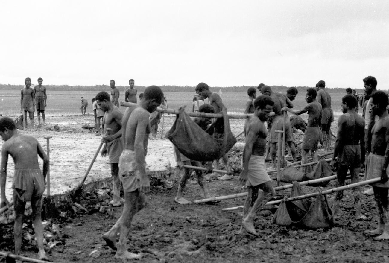 BD/133/1145 - 
Papoea&#039;s bezig met grondwerkzaamheden
