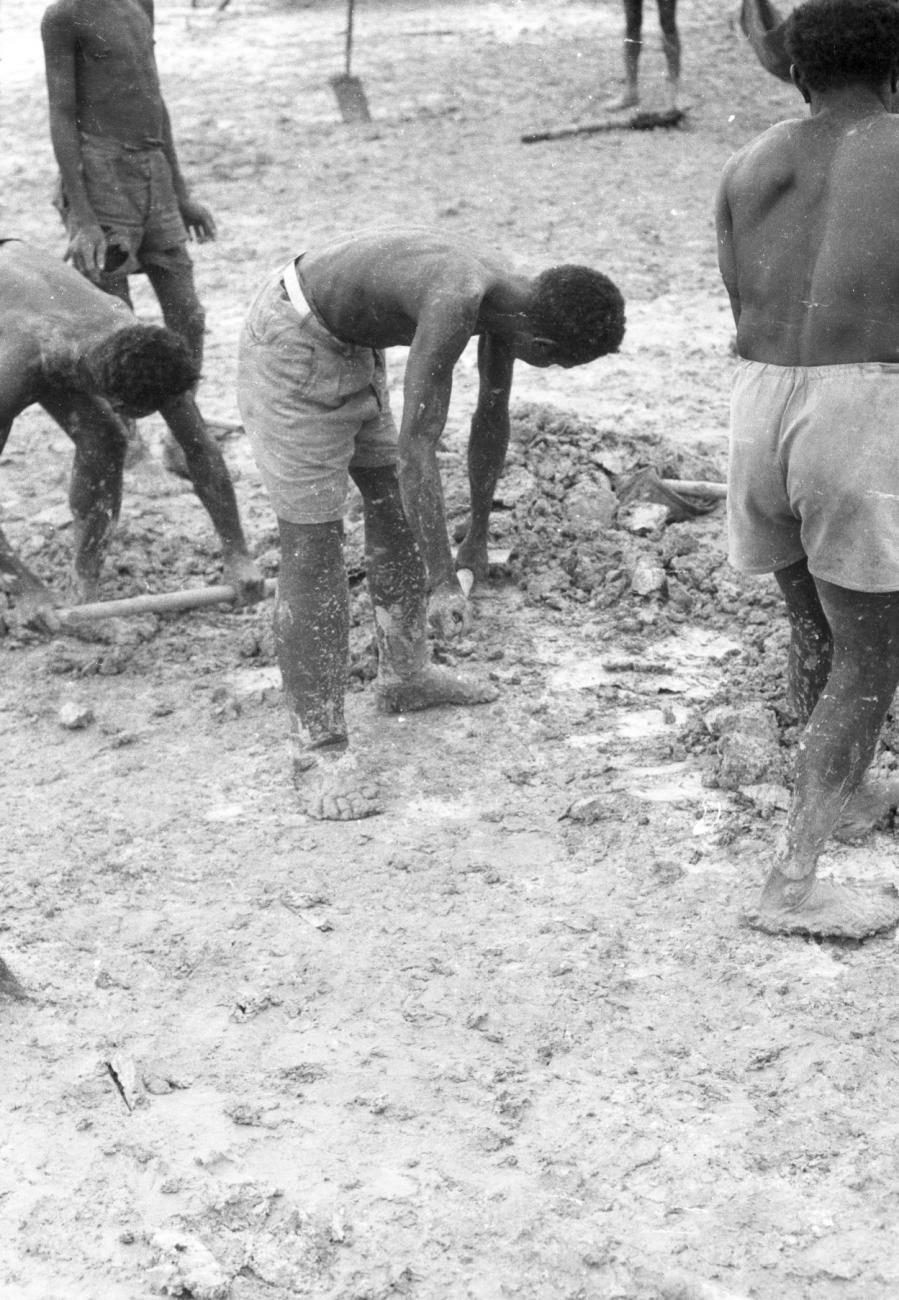 BD/133/1146 - 
Papoea&#039;s bezig met grondwerkzaamheden
