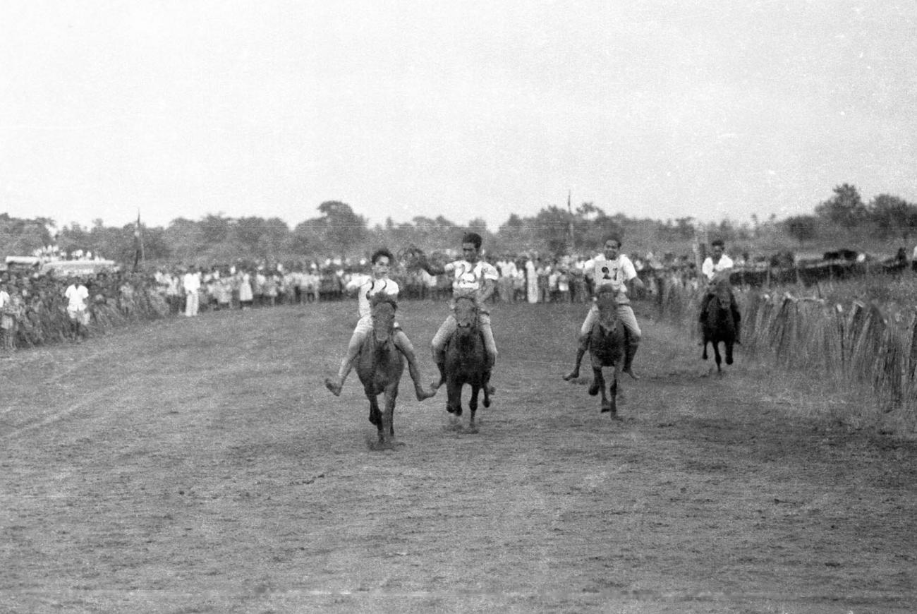 BD/133/114 - 
Paardrijwedstrijd te Merauke ter ere van Koninginnedag
