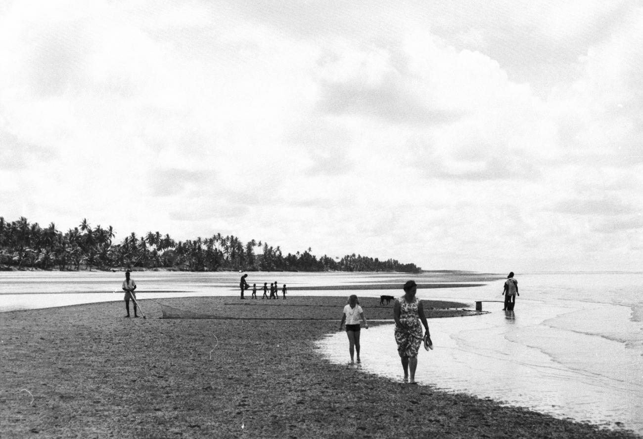 BD/133/1154 - 
Papoea&#039;s met visnetten aan de kust en voorbijlopende westerlingen
