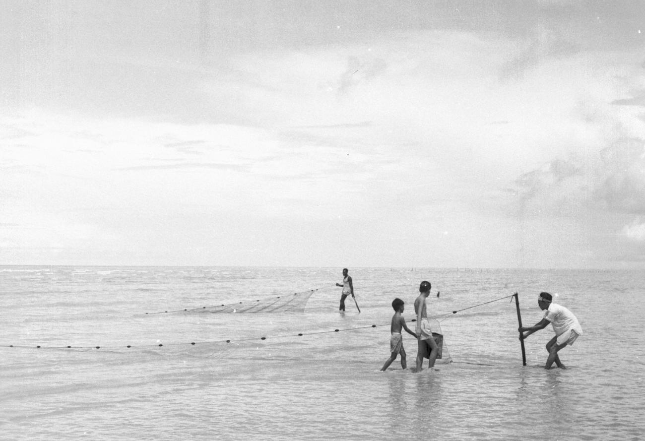 BD/133/1155 - 
Papoea&#039;s zetten een visnet uit aan de kust
