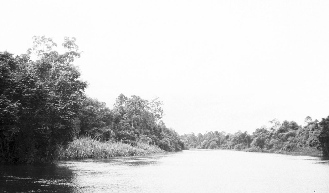 BD/133/224 - 
Opname van de rivier met haar oevers
