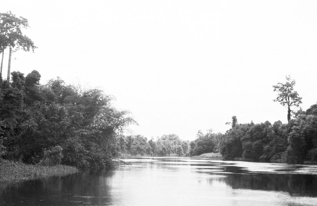 BD/133/230 - 
Opname van de rivier met haar oevers
