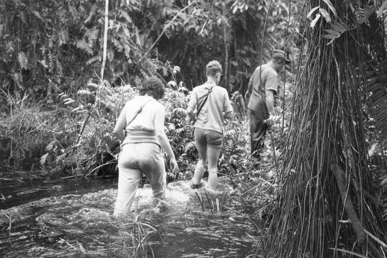 BD/133/238 - 
Vervolg van de tocht te voet door het lage water
