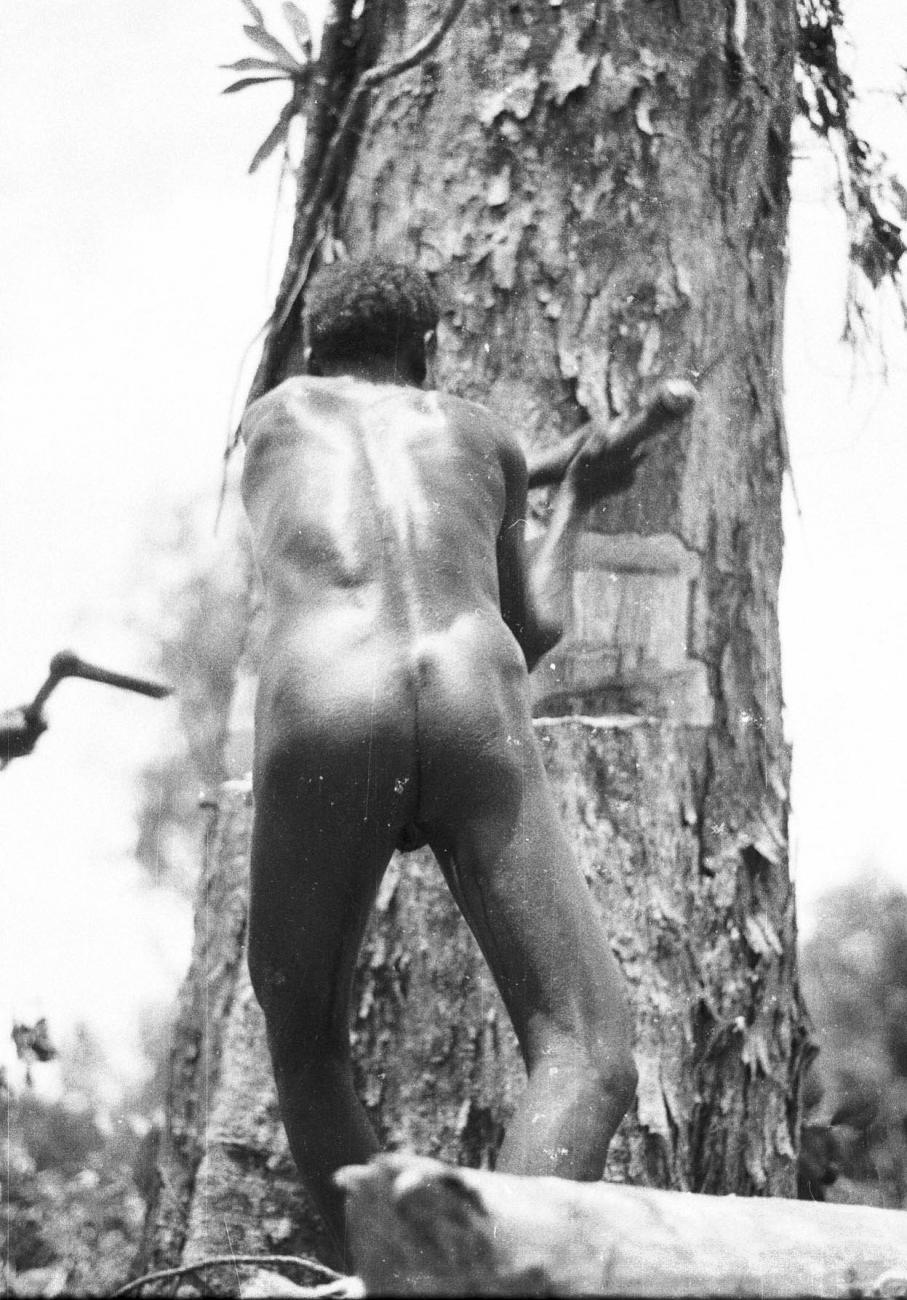 BD/133/338 - 
Een Asmatter bezig bij de boomkap
