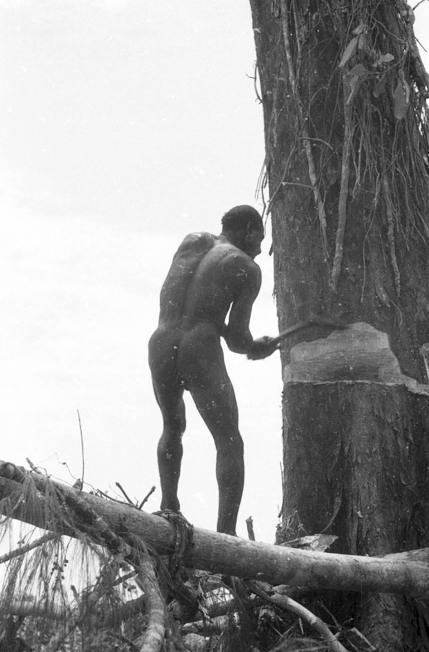 BD/133/344 - 
Een Asmatter bezig bij de boomkap

