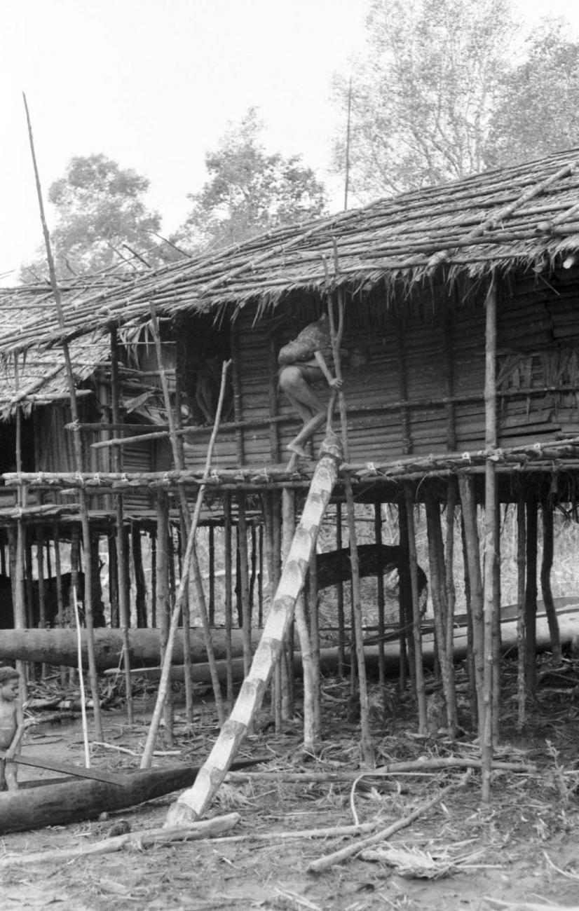 BD/133/41 - 
Trip Merauke-Kapi: house on stilts near Merauke
