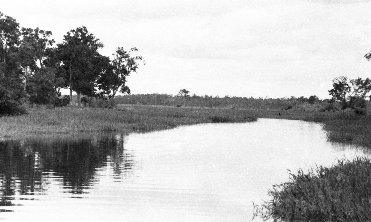 BD/133/424 - 
Tocht Merauke-Kepi-Cookrivier vv: Landschapsopname van de rivier
