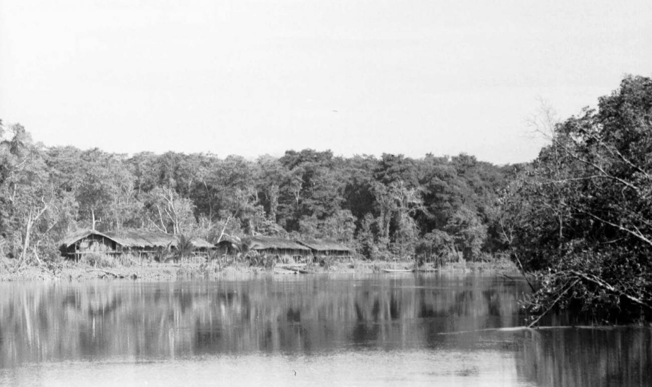 BD/133/45 - 
Tocht Merauke-Kapi: Nederzetting aan de rivier
