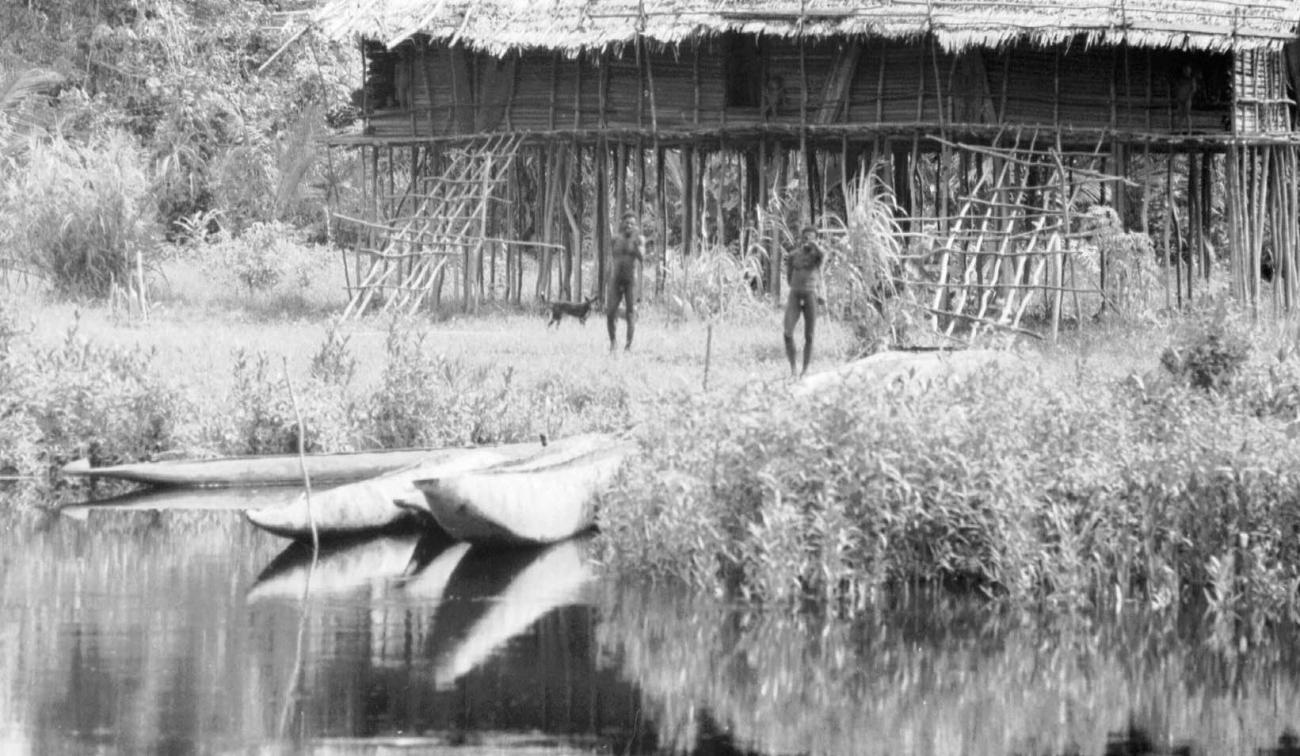 BD/133/47 - 
Tocht Merauke-Kapi: Prauwen aan de oever van de rivier
