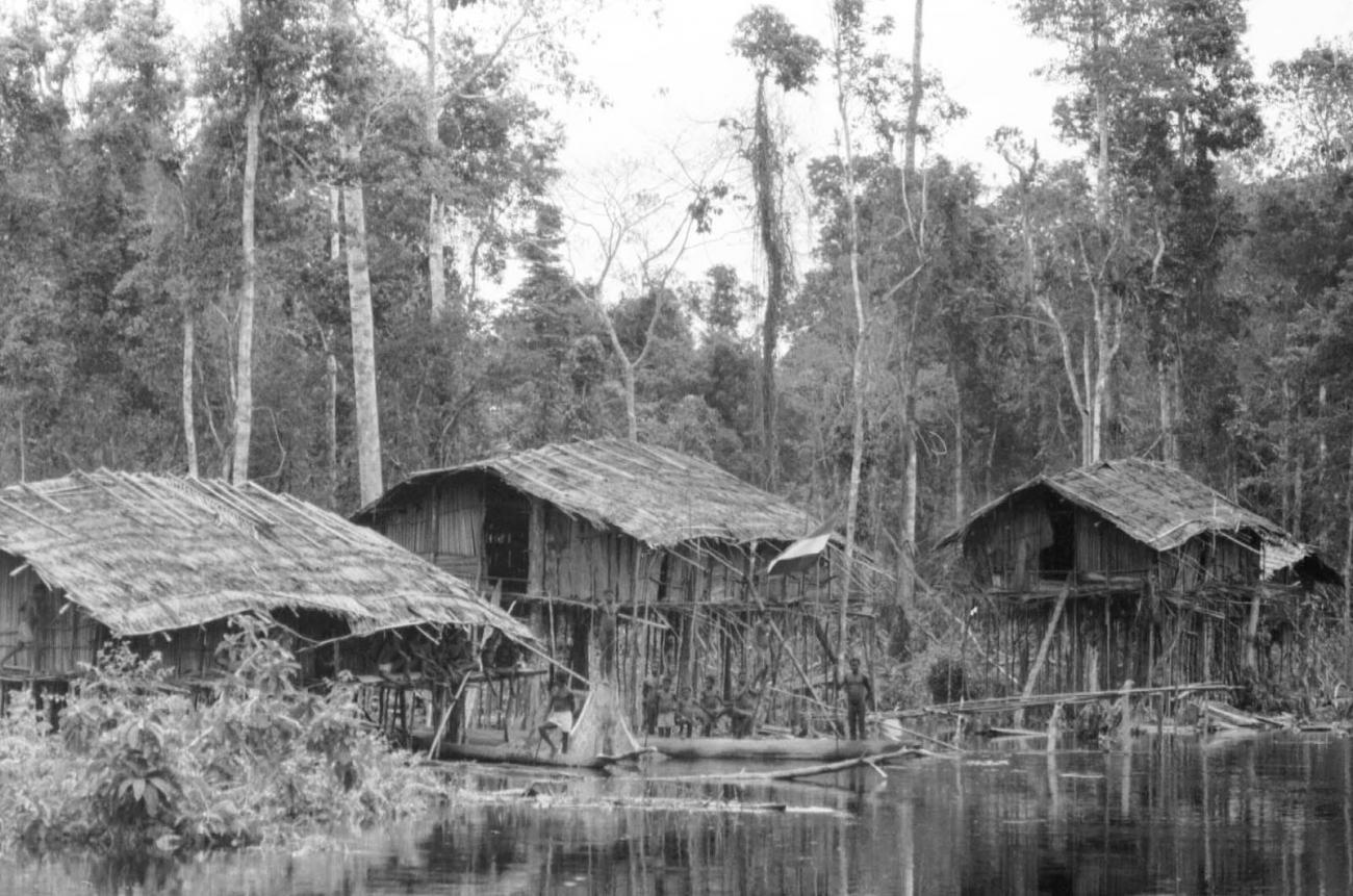 BD/133/49 - 
Tocht Merauke-Kapi: Nederzetting aan de rivier
