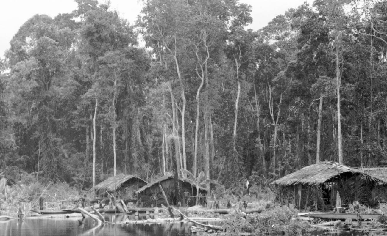 BD/133/53 - 
Tocht Merauke-Kapi: Nederzetting aan de rivier
