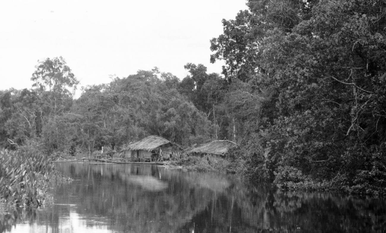 BD/133/54 - 
Tocht Merauke-Kapi: Nederzetting aan de rivier

