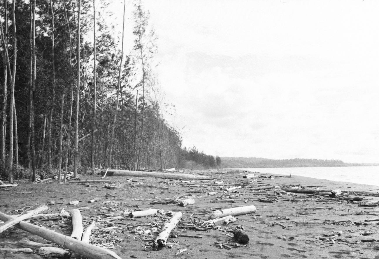 BD/133/559 - 
Op het strand aangespoeld hout
