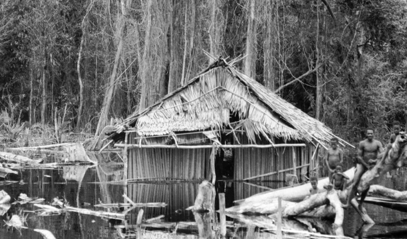 BD/133/55 - 
Tocht Merauke-Kapi: Een huis aan het water
