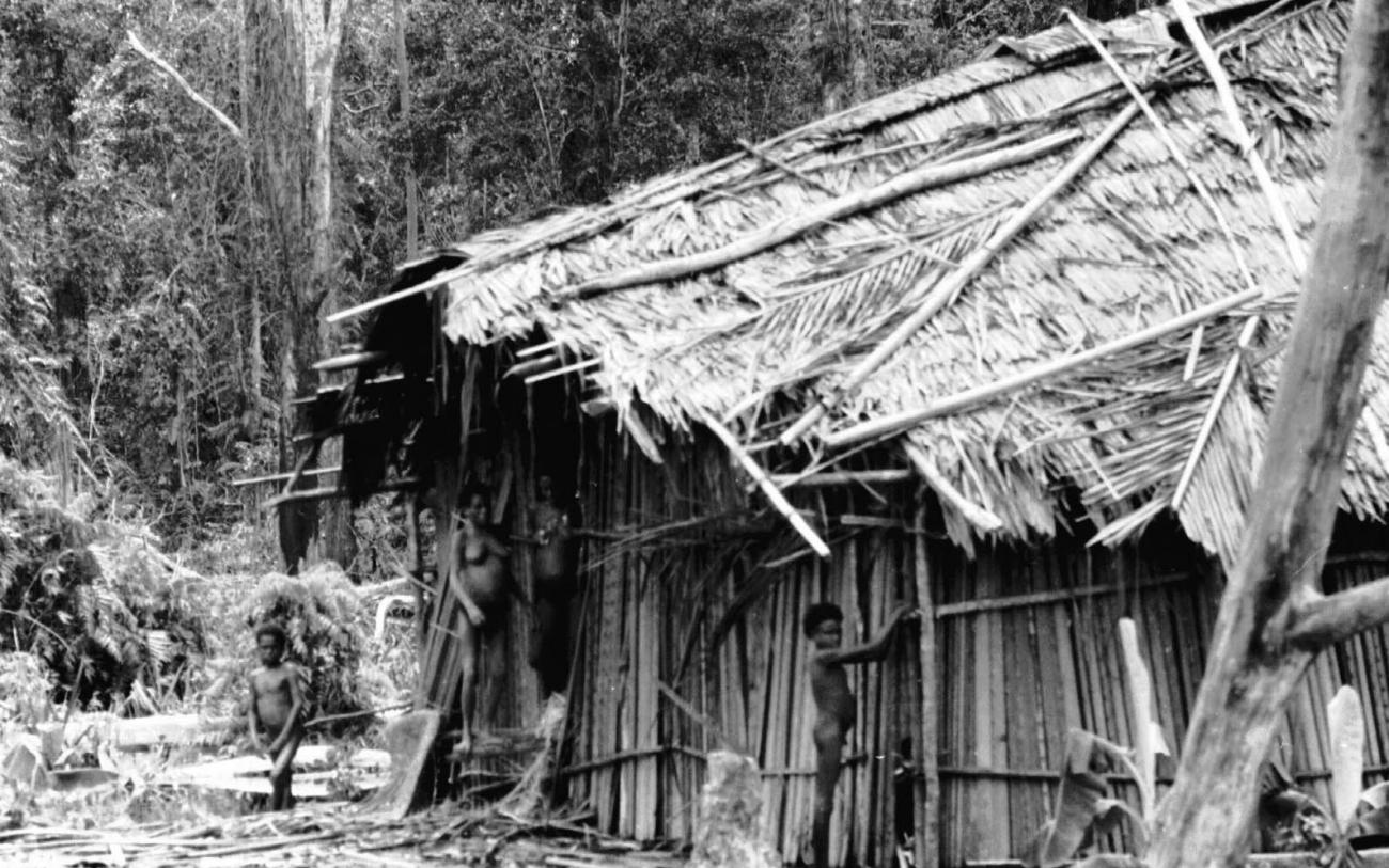 BD/133/56 - 
Tocht Merauke-Kapi: Een huis met zijn bewoners
