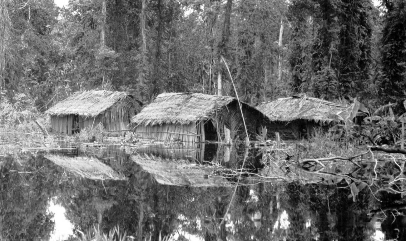 BD/133/58 - 
Tocht Merauke-Kapi: Huizen aan het water
