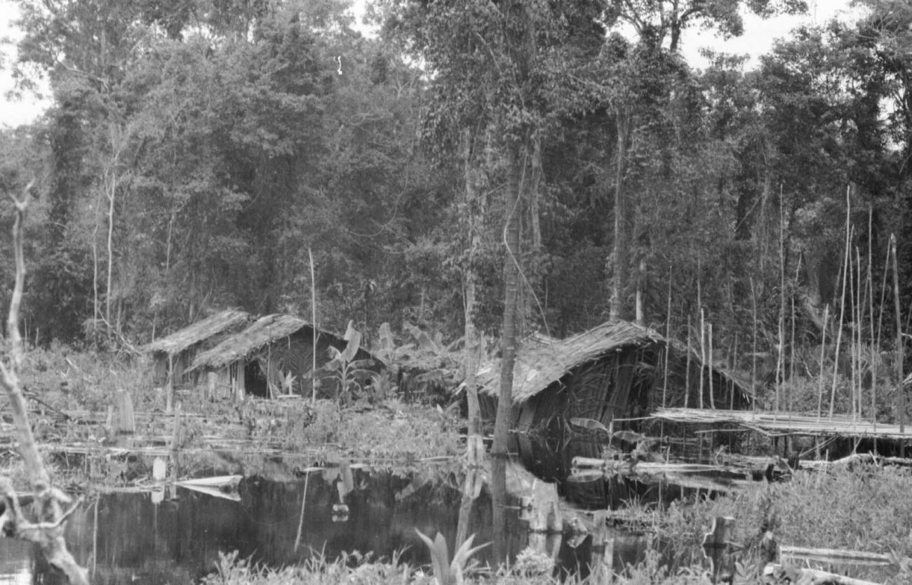 BD/133/59 - 
Tocht Merauke-Kapi: Huizen aan het water
