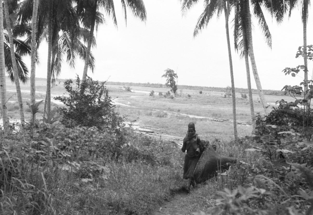BD/133/639 - 
Papoea-vrouw met kinderen op rivieroever, achtergrond landschap met rivier
