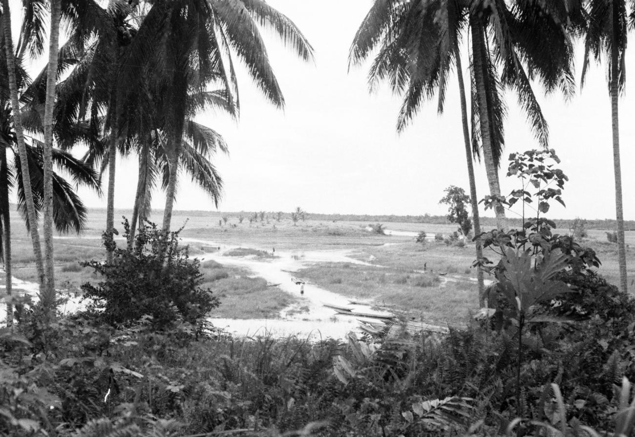 BD/133/640 - 
Landschap met palmbomen, rivier en prauwen
