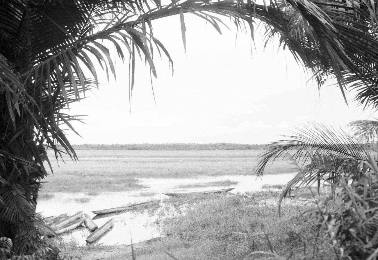 BD/133/641 - 
Landschap met palmbomen, rivier en prauwen
