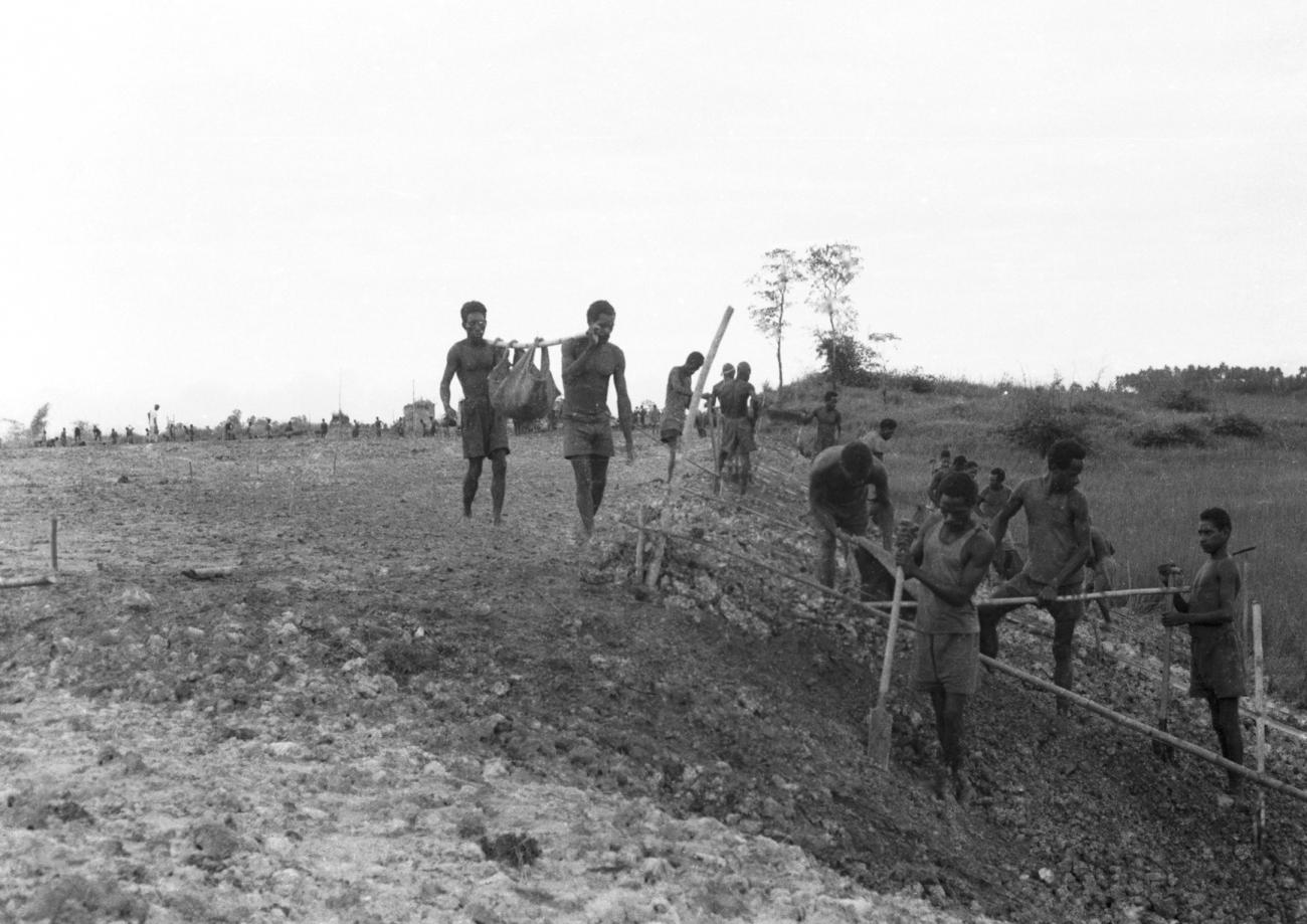BD/133/644 - 
Groep Papoea-mannen doen grondwerkzaamheden 
