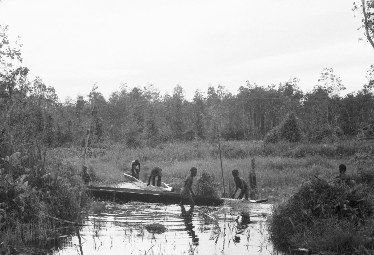 BD/133/654 - 
Zicht op rivieroever met prauwen en Papoea-mannen

