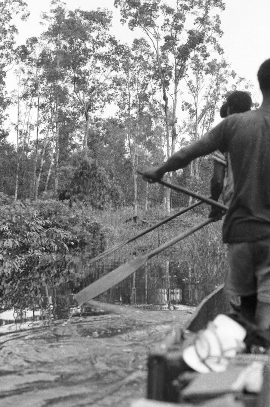 BD/133/671 - 
Zicht op oever vanuit prauw, Papoea-mannen met peddels op de voorgrond
