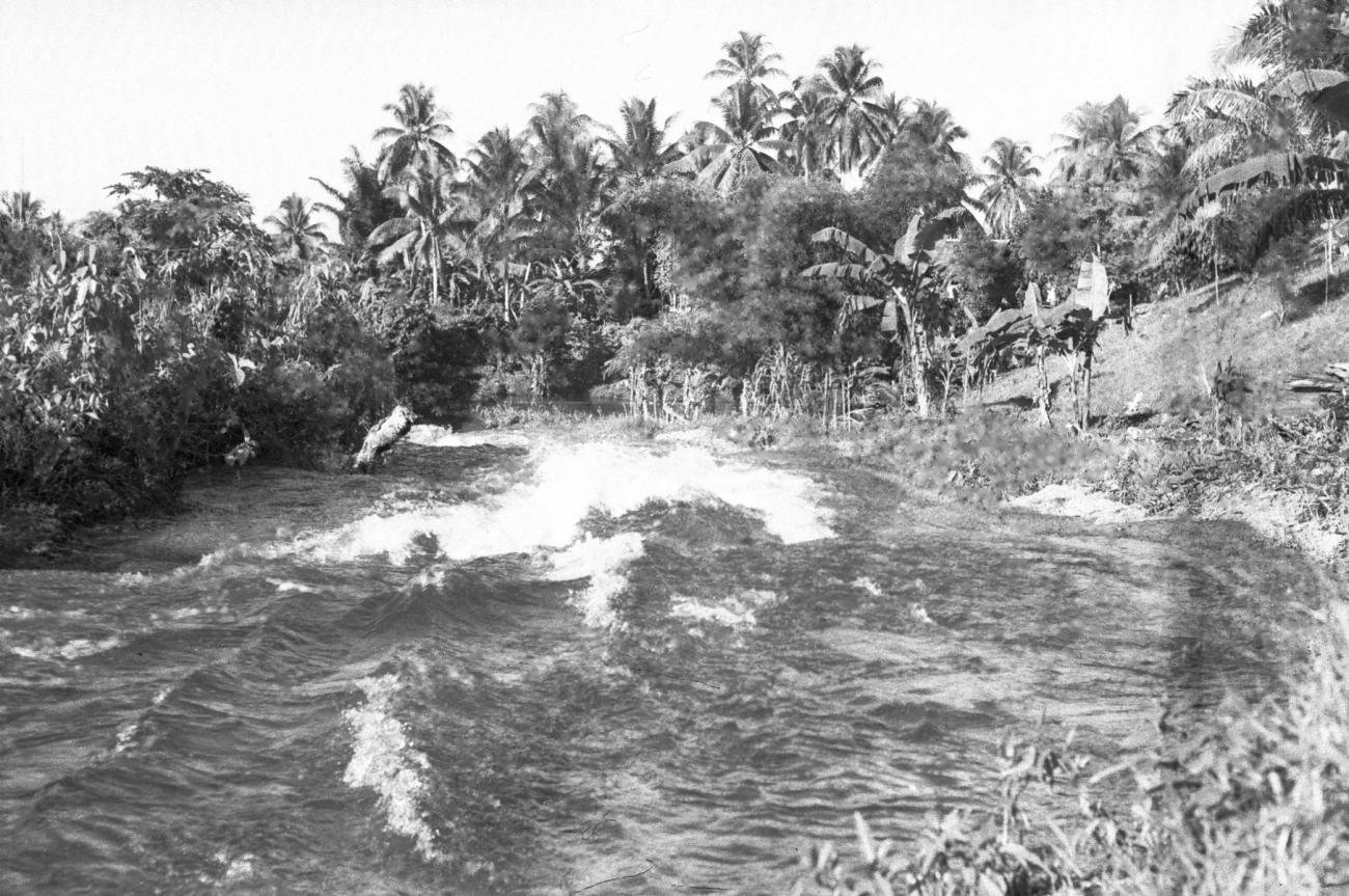 BD/133/674 - 
Stroomversnelling bij hoge rivieroever en palmbomen 
