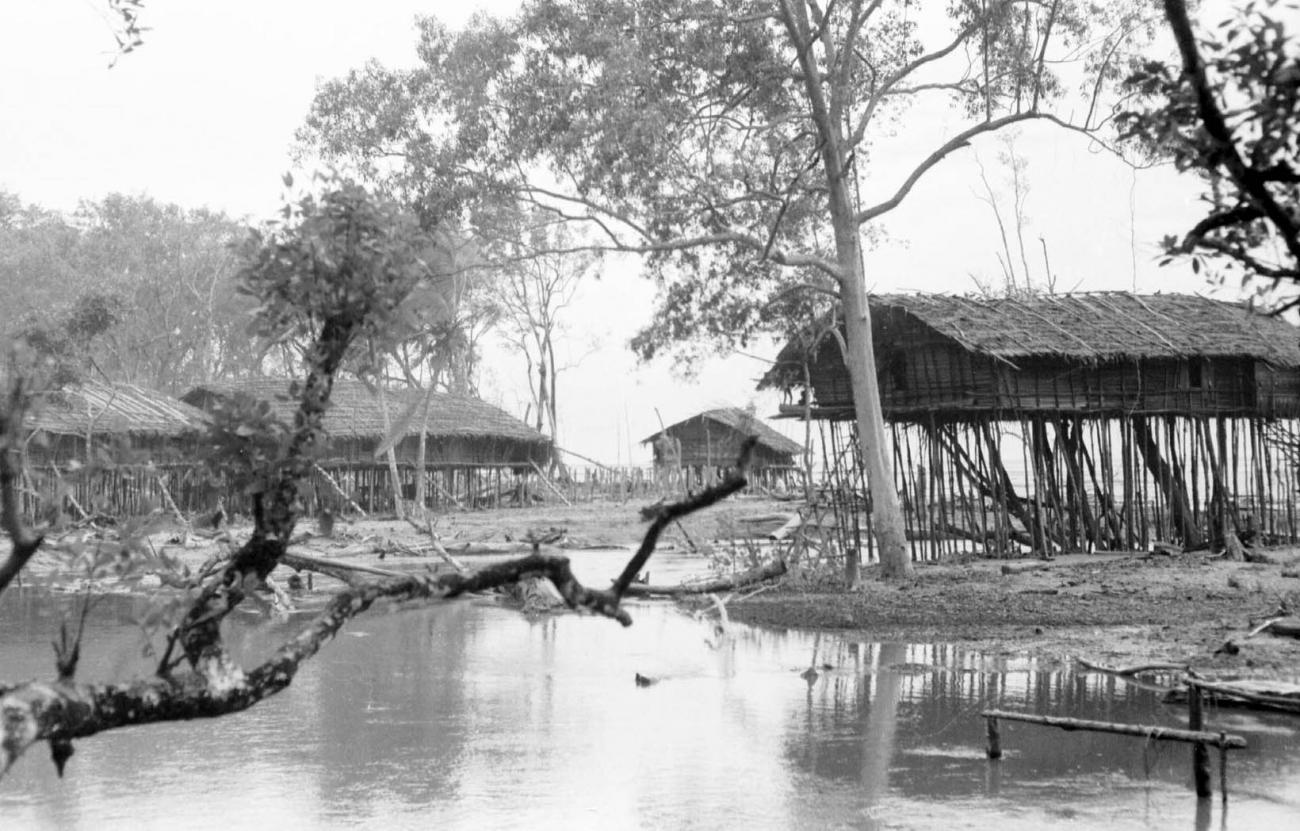 BD/133/67 - 
Tocht Merauke-Kapi: Nederzetting aan de rivier te Kapi
