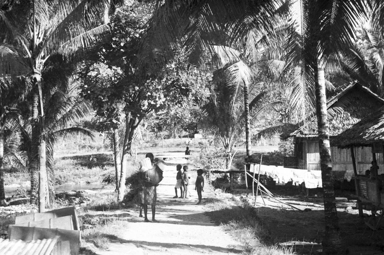 BD/133/683 - 
Nederzetting tussen palmbomen, met vrouw en kinderen op straat
