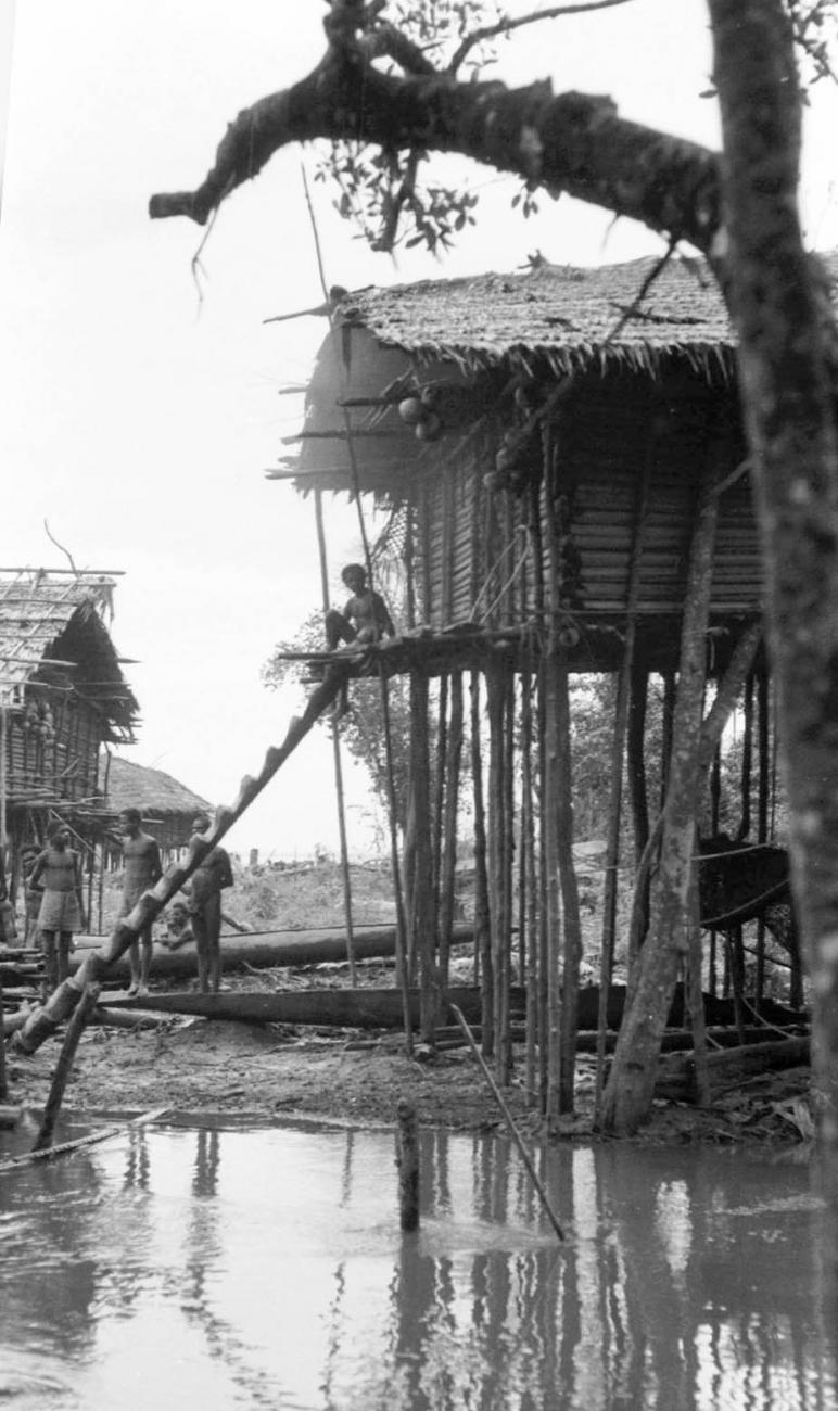 BD/133/68 - 
Trip Merauke-Kapi: House on stilts
