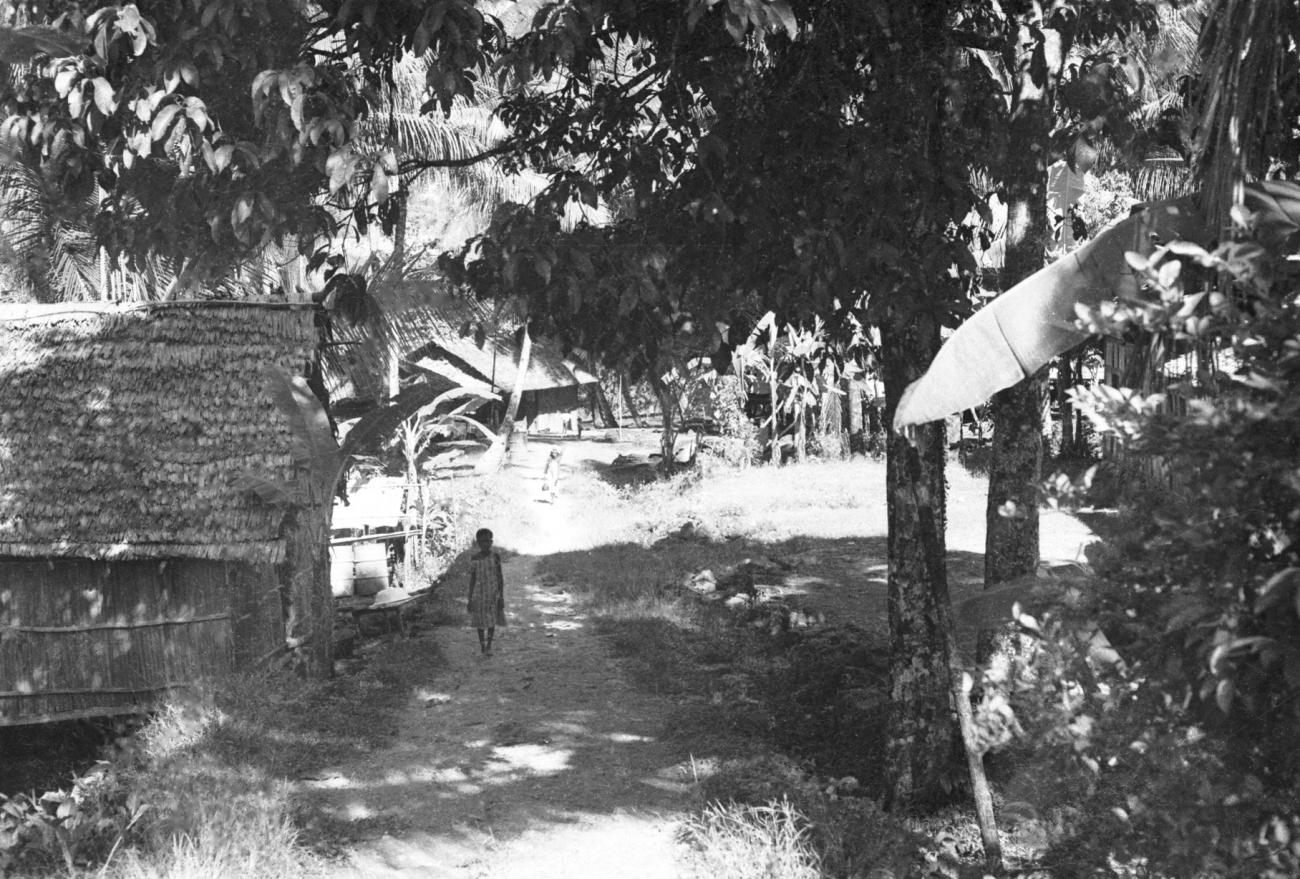 BD/133/695 - 
Nederzetting met hutten van palmbladeren
