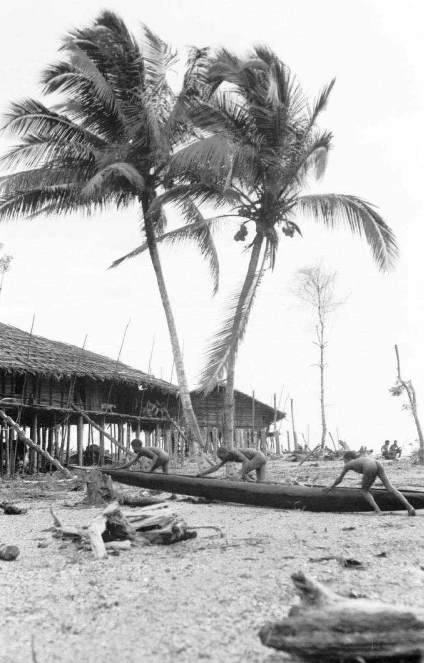 BD/133/71 - 
Tocht Merauke-Kapi: Mannen die een prauw uit het water halen
