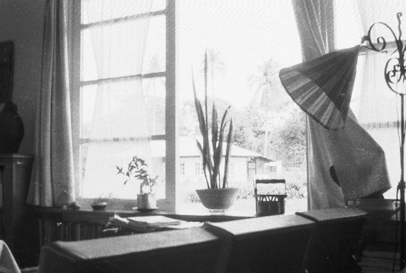 BD/133/794 - 
Blik op een westers huisinterieur met vensterbank en planten

