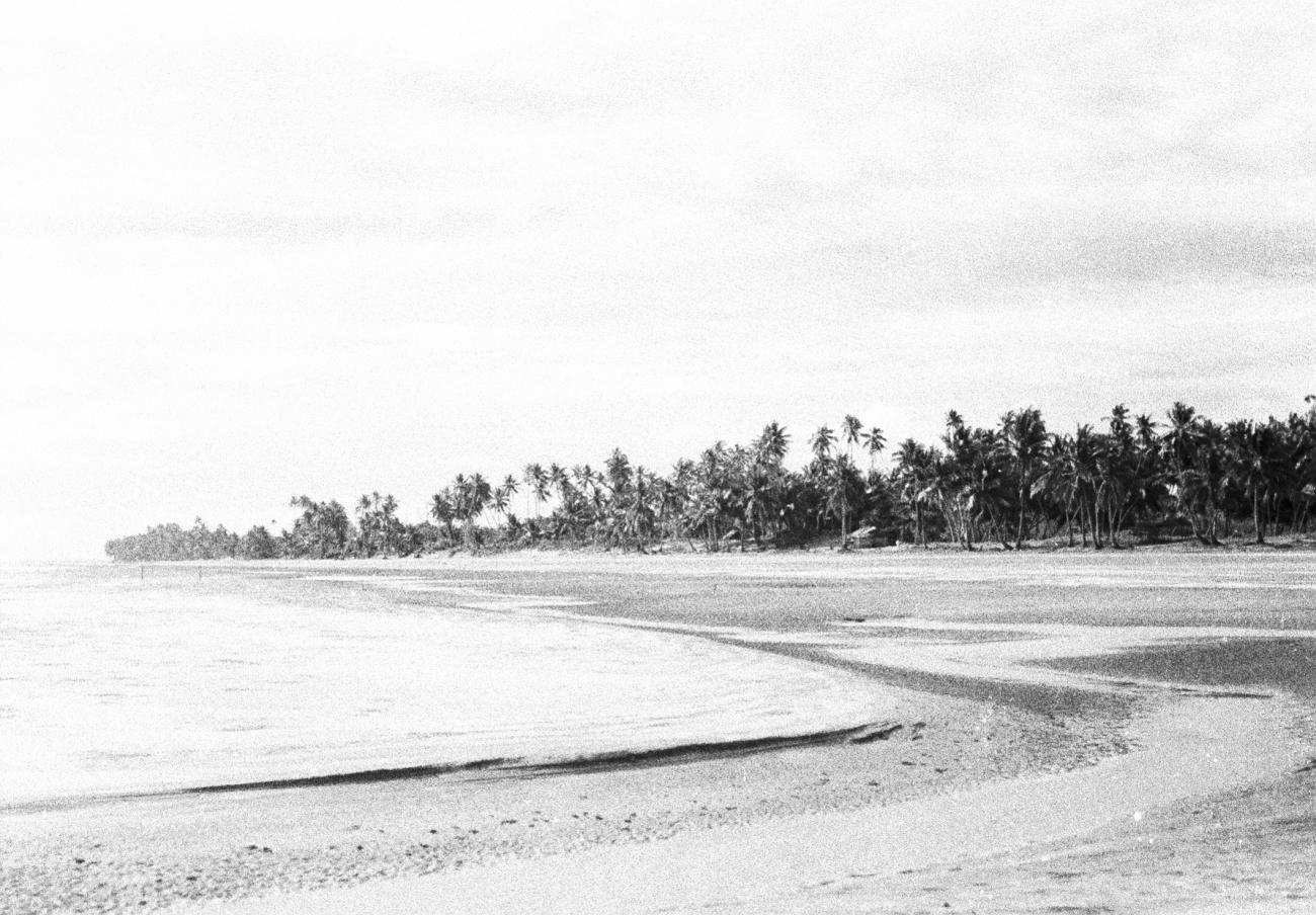 BD/133/808 - 
Strand met palmbomen
