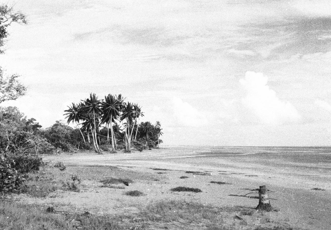 BD/133/809 - 
Strand met palmbomen
