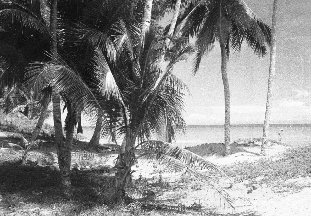 BD/133/819 - 
Zee met strand en palmbomen

