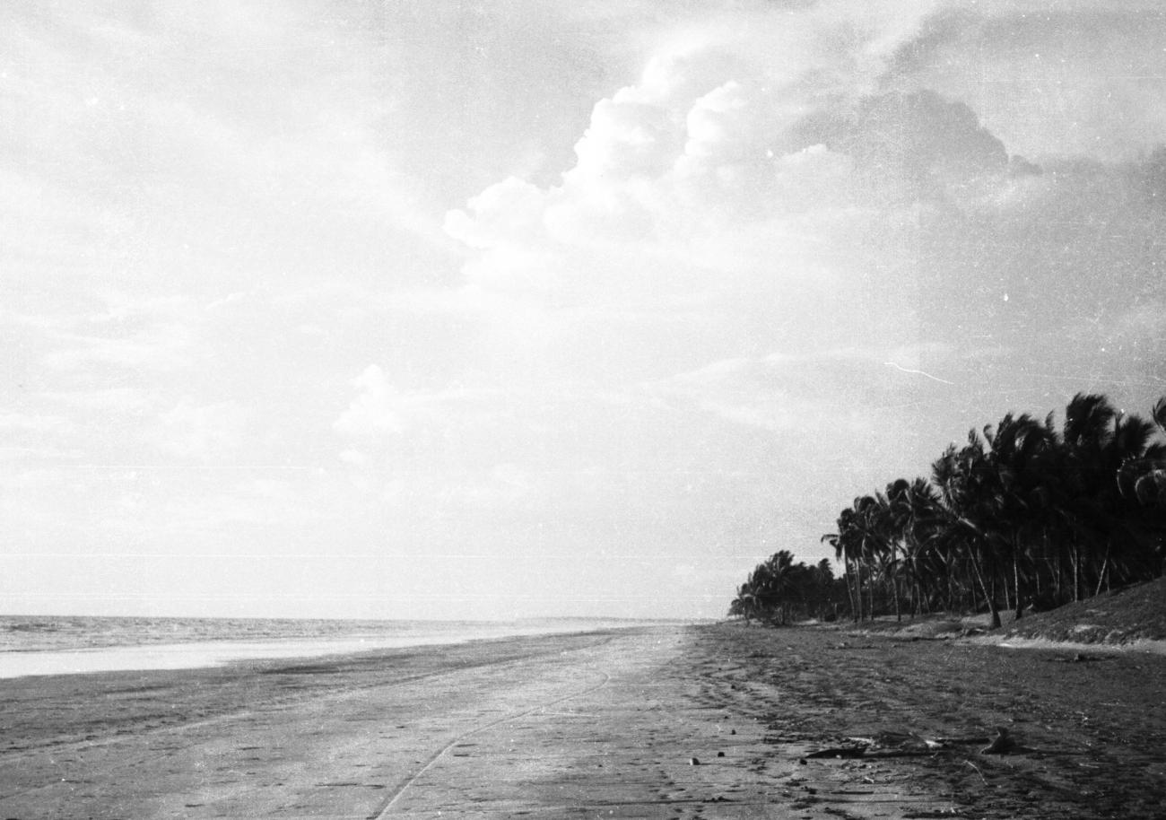 BD/133/832 - 
Panorama van zee, strand en palmbomen
