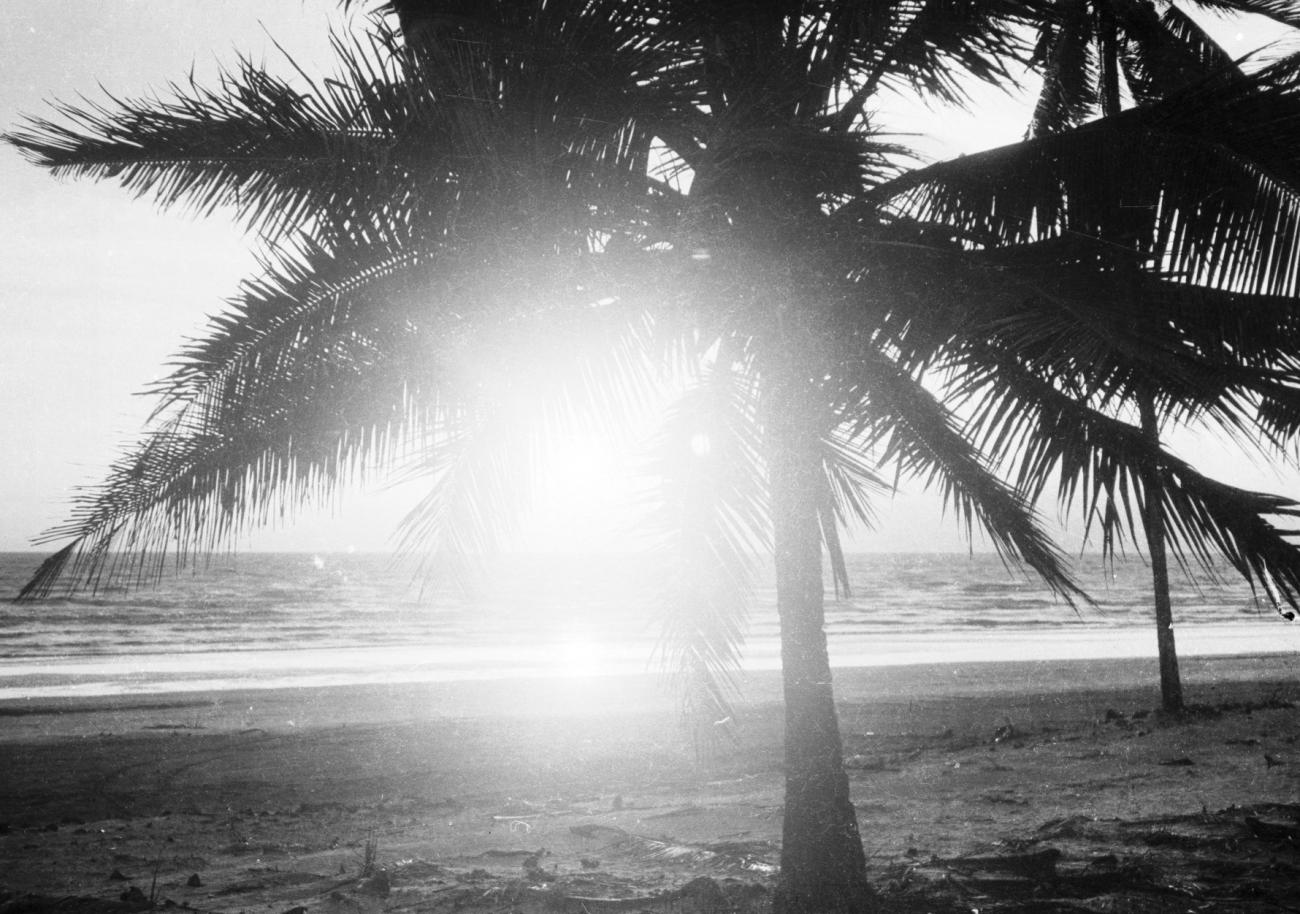 BD/133/835 - 
Tegenlichtopname van de zee met de zon schijnend door palmboombladeren 
