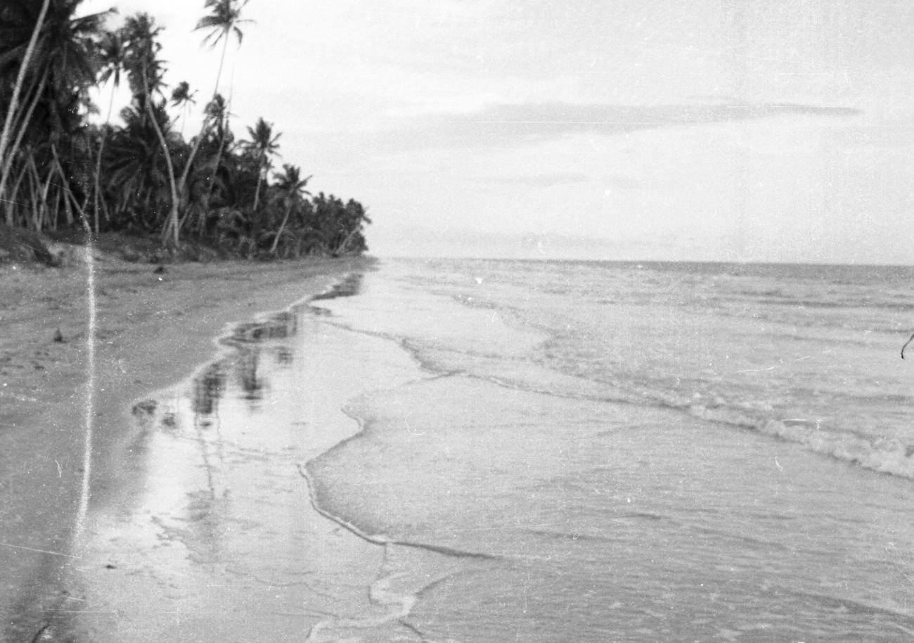 BD/133/846 - 
Kustlijn met strand en palmbomen
