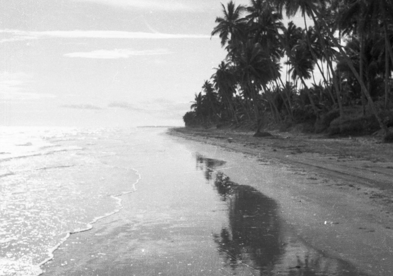 BD/133/847 - 
Kustlijn met strand en palmbomen

