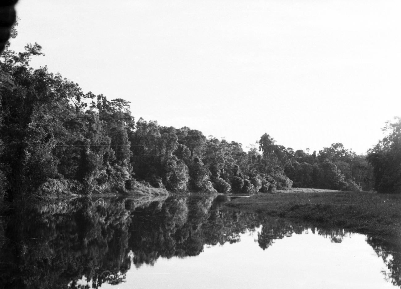 BD/133/857 - 
Landschapsfoto met rivier en oerwoud
