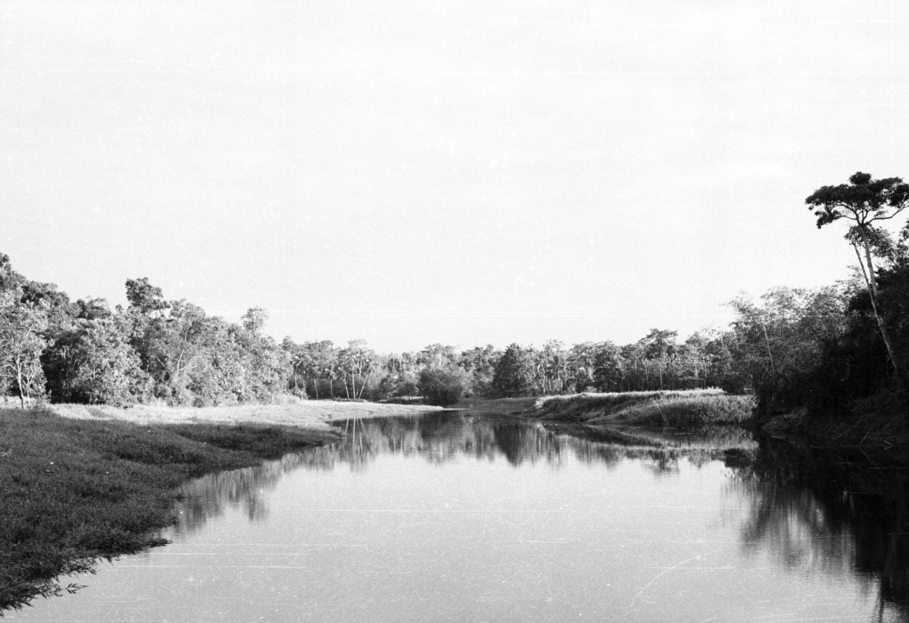 BD/133/860 - 
Rivierlandschap met oerwoud
