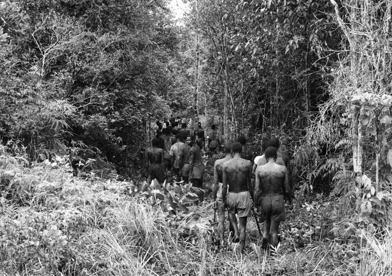 BD/133/873 - 
Papoeamannen op weg door het oerwoud met kapmessen

