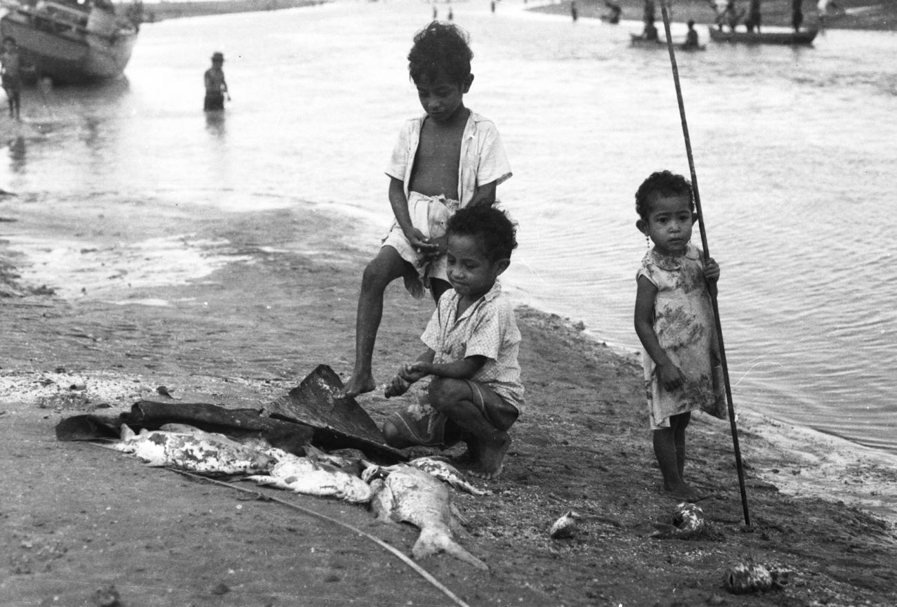 BD/133/951 - 
Inheemse kinderen met gevangen vis aan de oever
