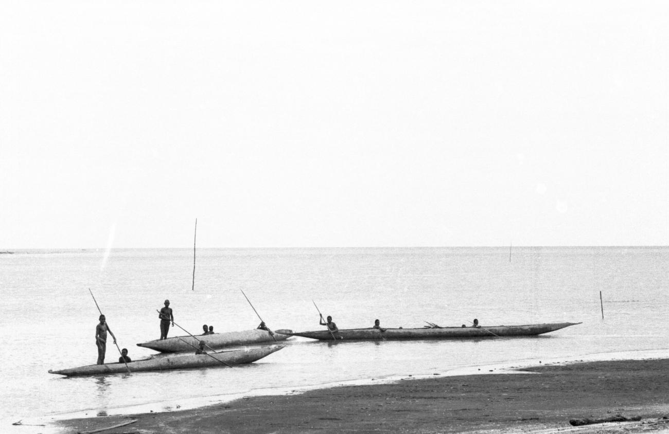 BD/133/980 - 
Prauwen met Papoea&#039;s (Asmat) vlakbj de kust
