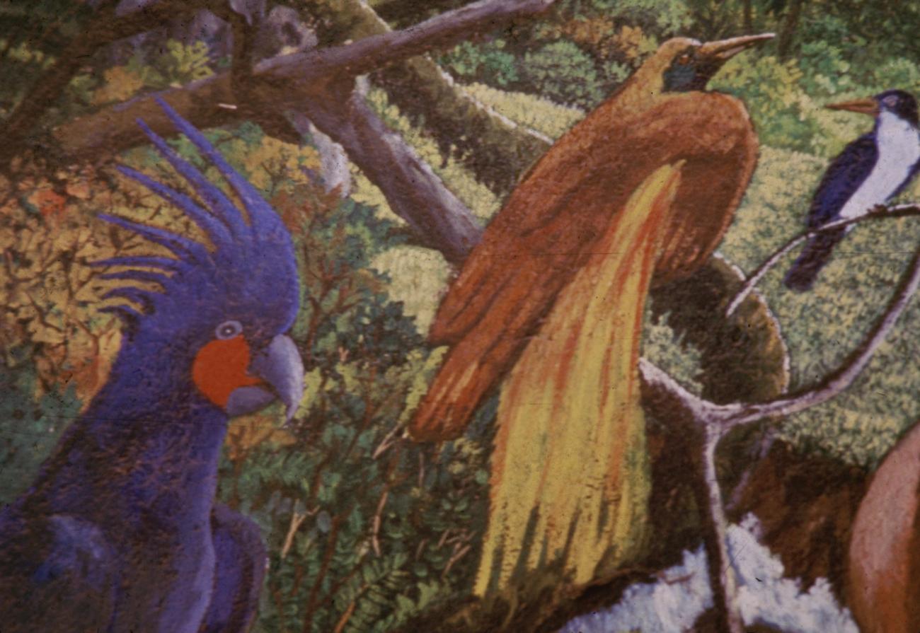 BD/285/3 - 
Schilderij met tropische vogels
