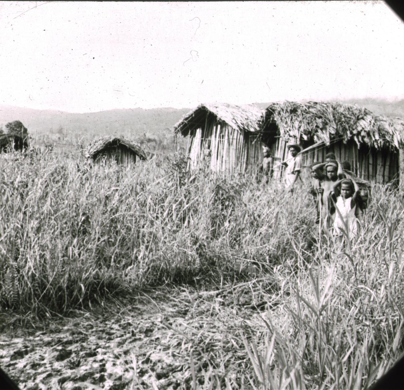 BD/329/12 - 
Papoea-kinderen met draagnetten en Papoea-man met pijl-en-boog, poserend bij hutten temidden van hoog gras 
